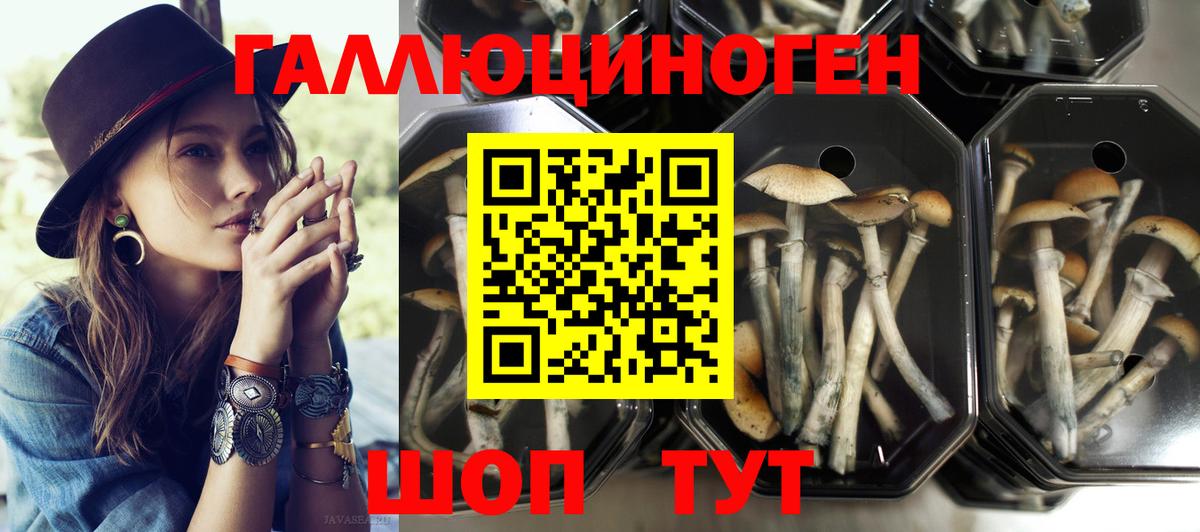 Чапаевск  Галлюциногенные грибы GOLDEN TEACHER  Галлюциногенные грибы ЛСД  Вход с VPN 